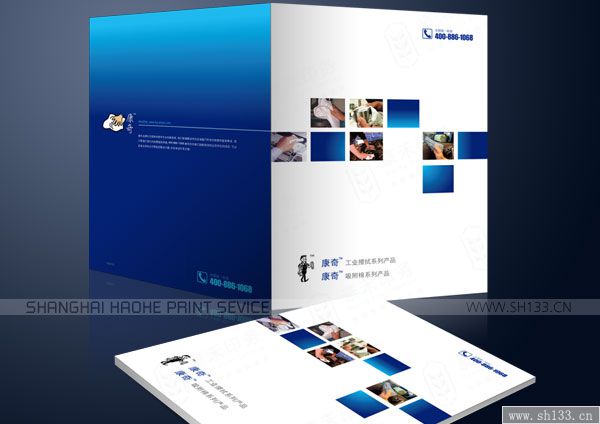 企業(yè)宣傳畫(huà)冊(cè)設(shè)計(jì)制作