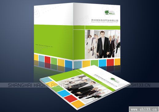 企業(yè)宣傳冊設(shè)計,宣傳冊印刷