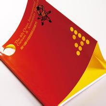 企業(yè)宣傳冊(cè)印刷,宣傳冊(cè)印刷