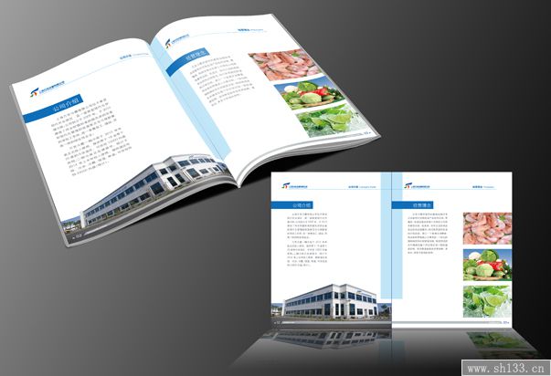 企業(yè)宣傳冊設(shè)計印刷