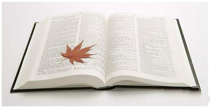 書(shū)刊印刷