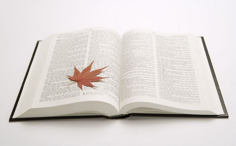 上海書本印刷