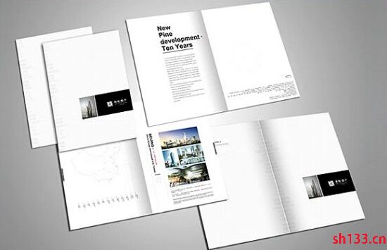 企業(yè)宣傳畫冊印刷